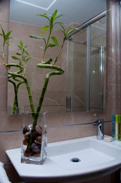 סייסה Hotel San Sebastian Hospederia מראה חיצוני תמונה