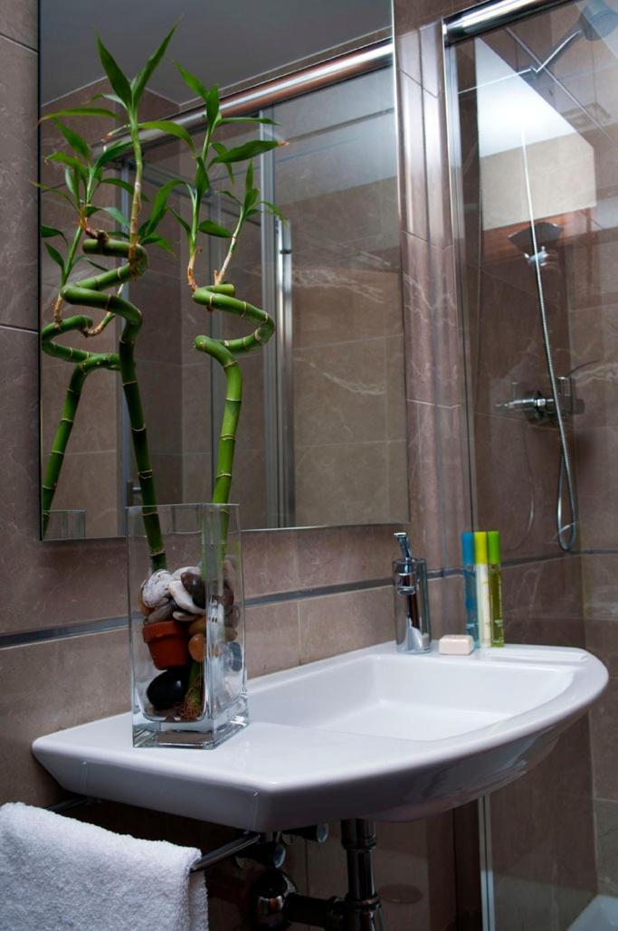 סייסה Hotel San Sebastian Hospederia מראה חיצוני תמונה